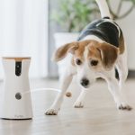 Furbo lets you see and talk to your dogs and give them treats when you’re not home