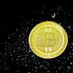 Crypto Wallets: Facts That You Need to Know