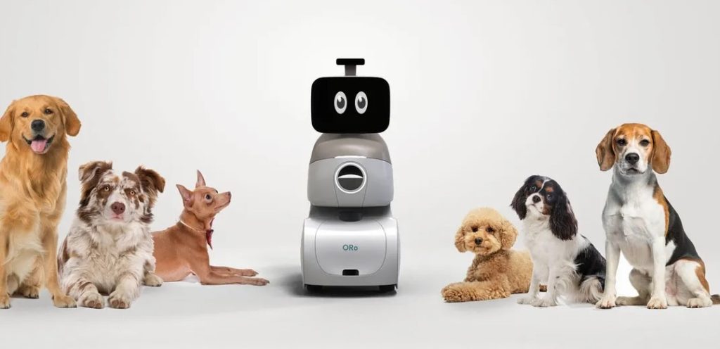 ORo is a robot companion that can play with your dog when you’re not home