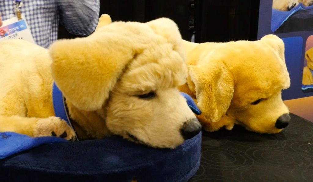 Meet Tombot – a robotic companion dog that looks and acts like a real dog
